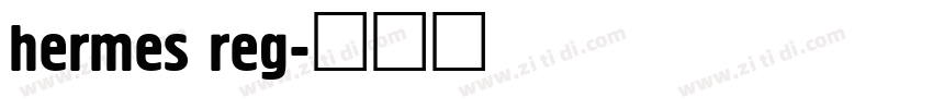 hermes reg字体转换